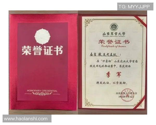 南京羽毛球队在杯赛中的意识表现分析与总结 南京羽毛球队在杯赛中的意识表现分析与总结